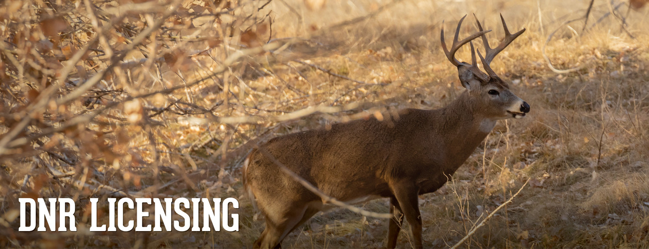 DNR Licensing - Central Illinois Ace Hardware Store