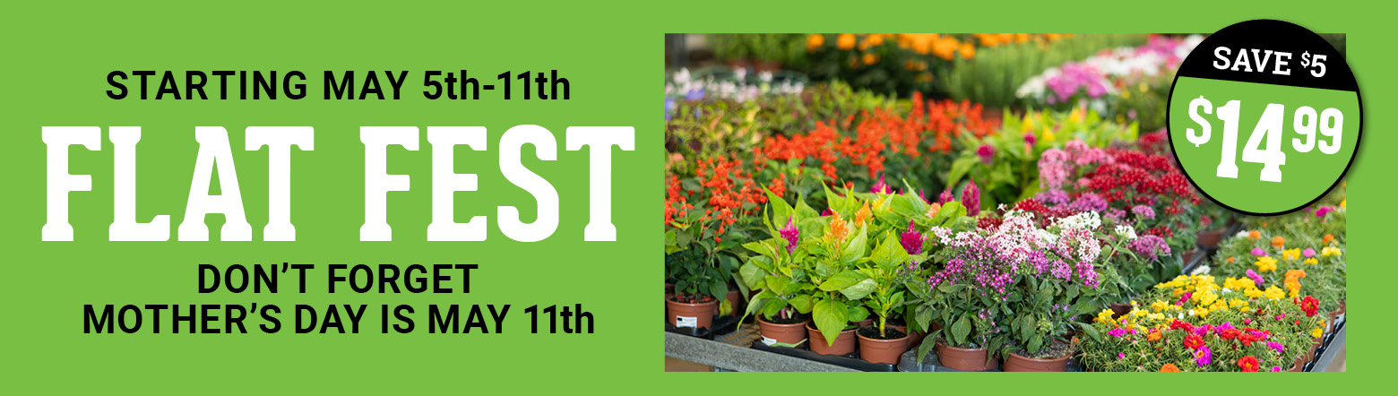 Flat Fest Header