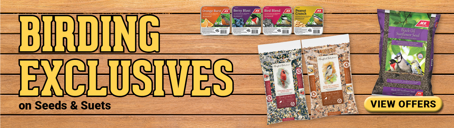 BirdingMar2026 Header