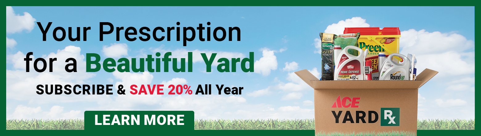 Yard Rx-May26 Header