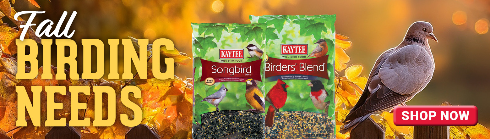 Oct 2025 Fall Birding Needs Header