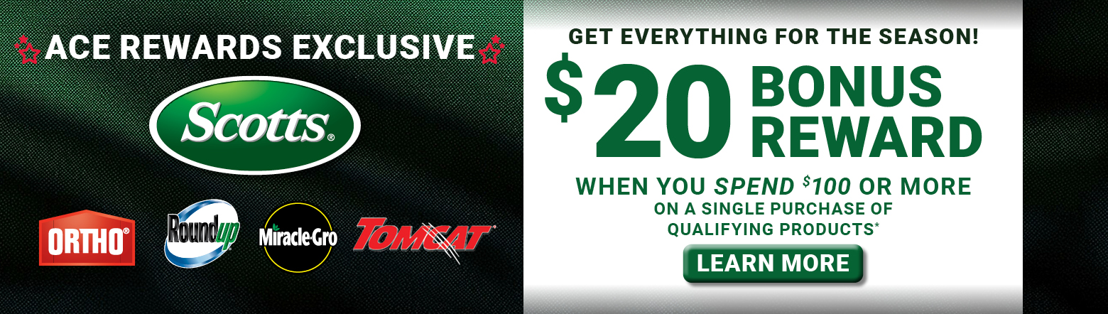 Ace Rewards Exclusive Save 20 Header