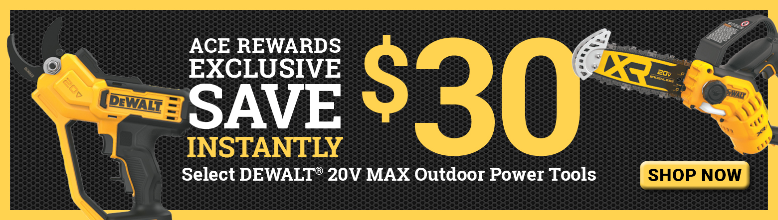 March 2025 Dewalt Save 30 Header