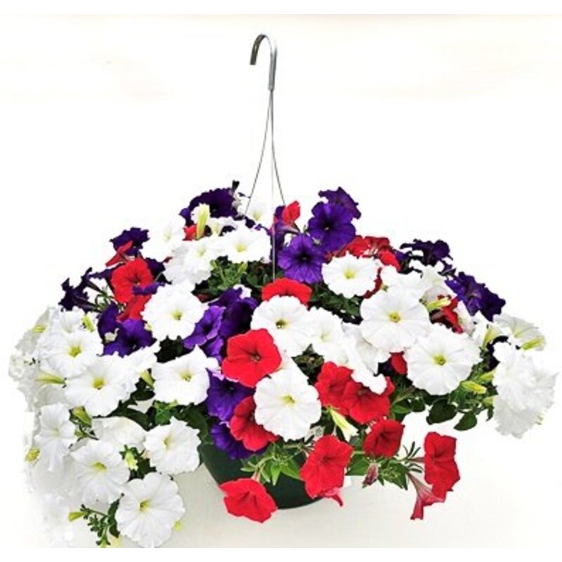 11" Red, White, & Blue Handing Basket