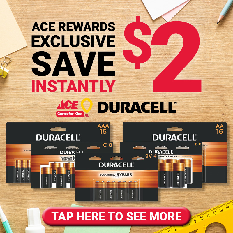 16 Pk. Duracell® Coppertop AA Alkaline Battery