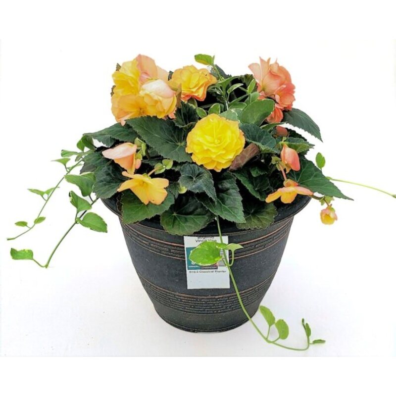 10.5" Classic Planter