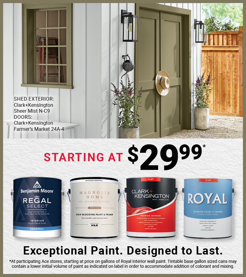 Ace Paint Collection
