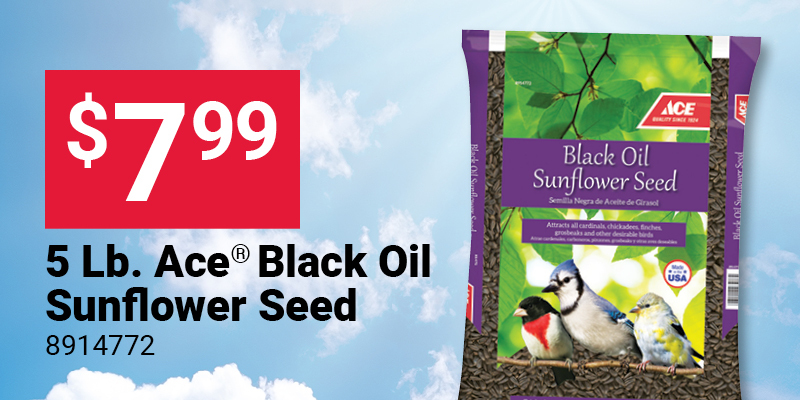 5 Lb. Ace® Black Oil Sunflower Seed