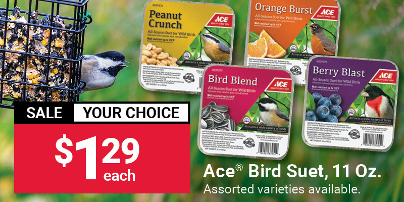 11 Oz. Ace® Bird Suet