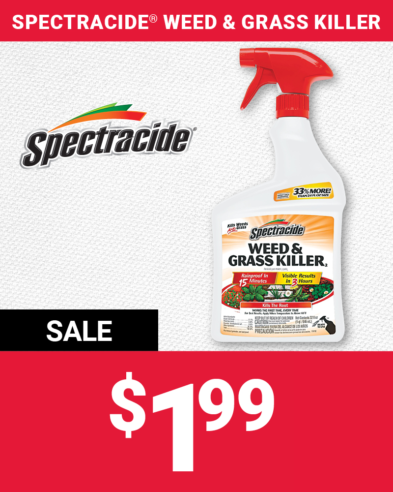 Spectracide® RTU Weed & Grass Killer, 32 Oz.