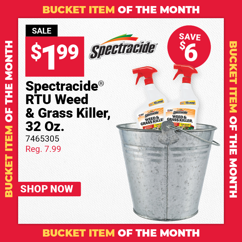 Bucket Item of the Month