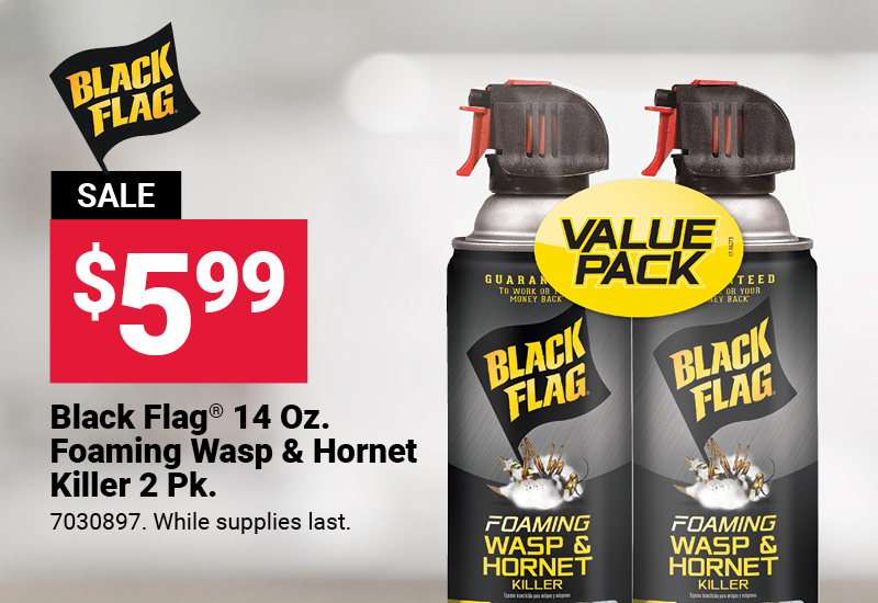 Black Flag® 2 Pk. Insect Killer