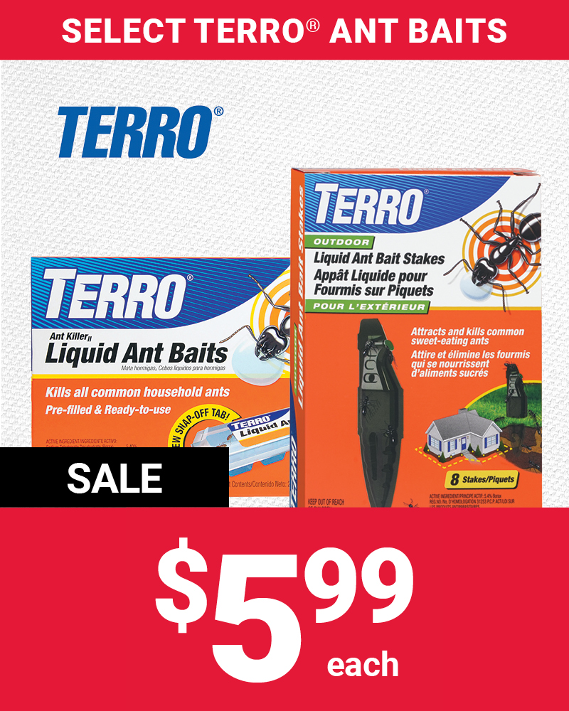 Bucket Item of the Month