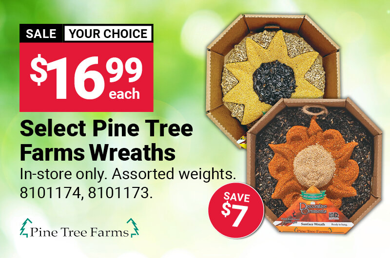 Pine Tree Farms® Wreaths
