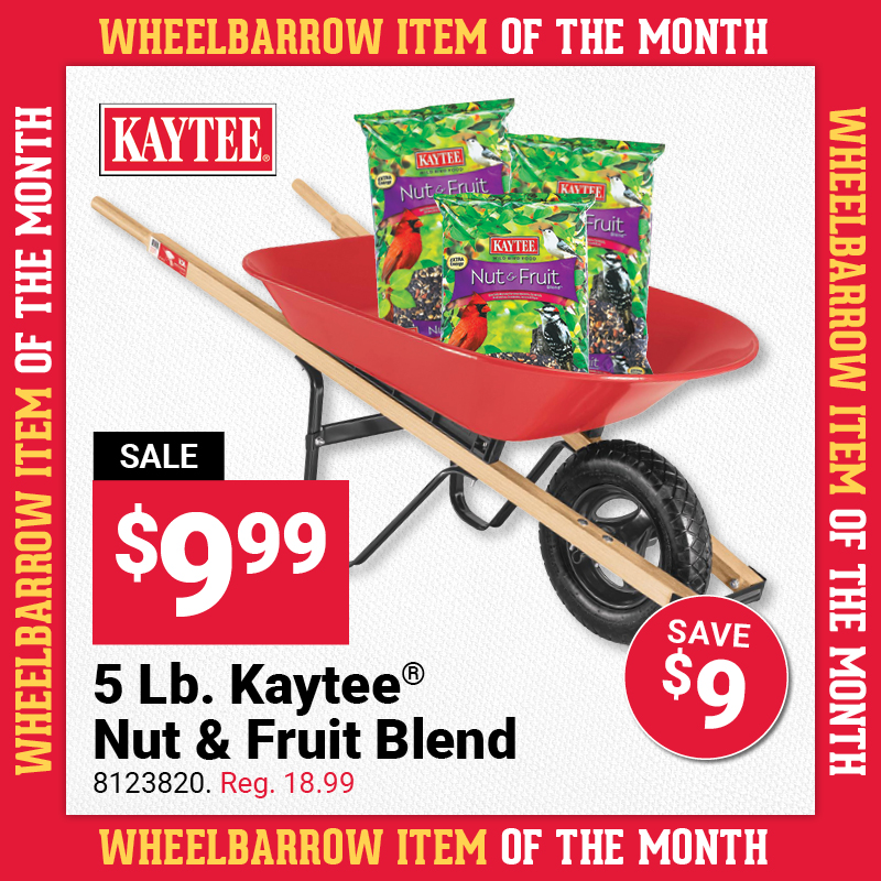 July Wheelbarrow Item