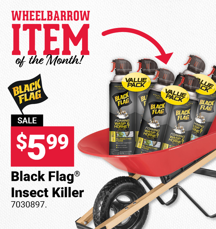 14 Oz. 2 Pk. Black Flag Wasp & Hornet Killer Foam