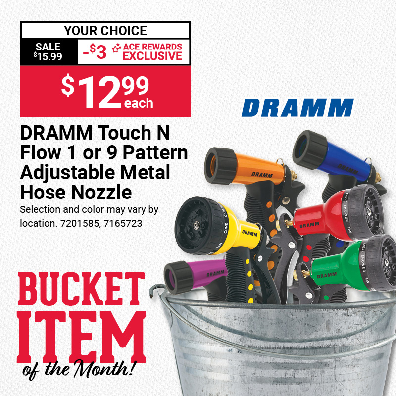 Bucket Item of the Month