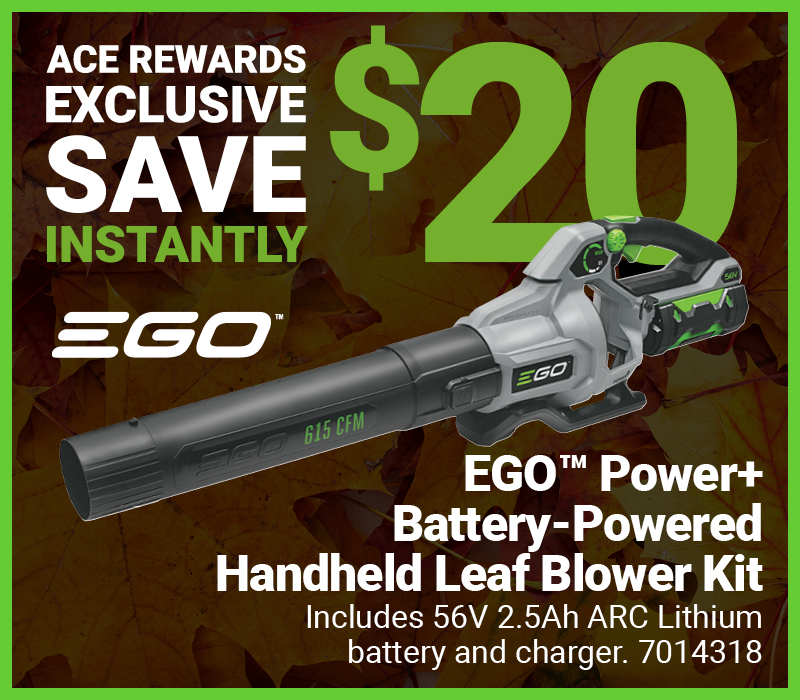 7014318 EGO™ Power+ Blower