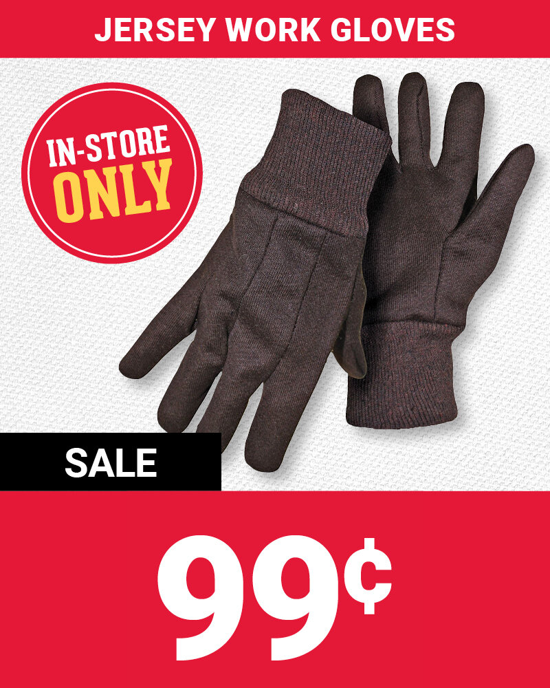 Featured Item of the Month
