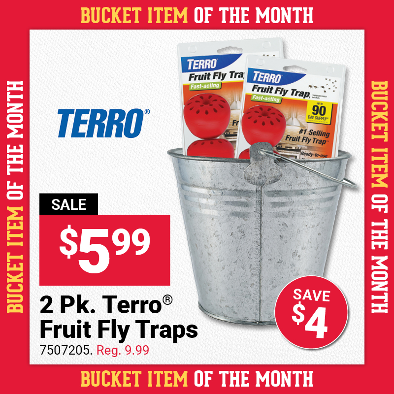 Bucket Item of the Month
