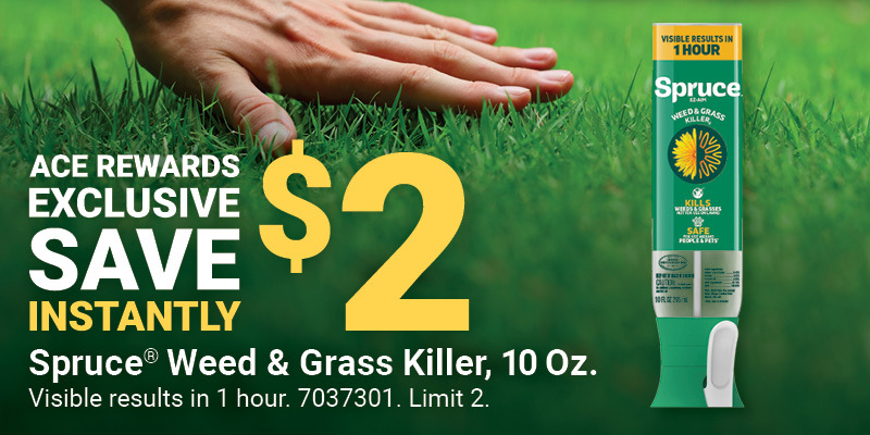 10 Oz. Spruce® EZ-AIM Weed & Grass Killer