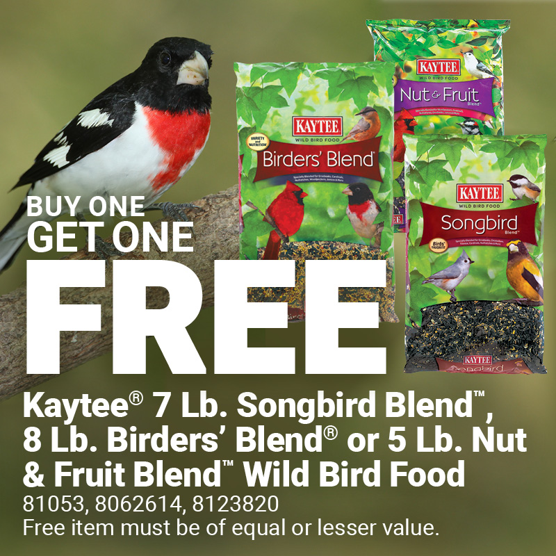 Kaytee® Bird Seed Offer