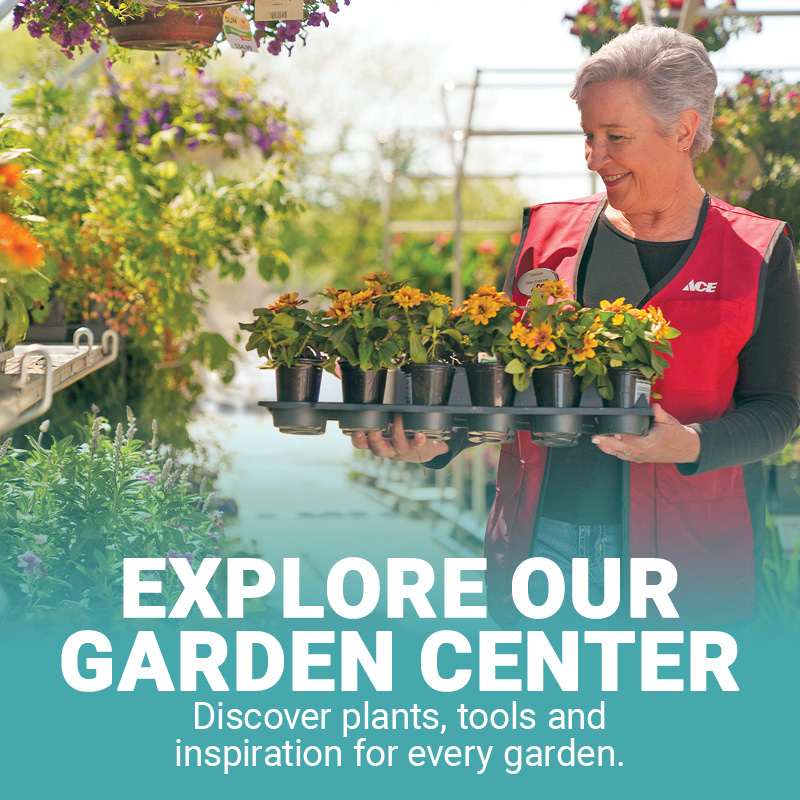 Explore Our Garden Center